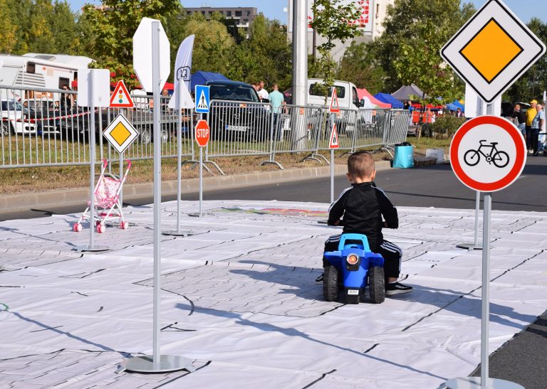 Анкета сред младите водачи показва: 85% препоръчват да се шофира с придружител след взимане на книжка