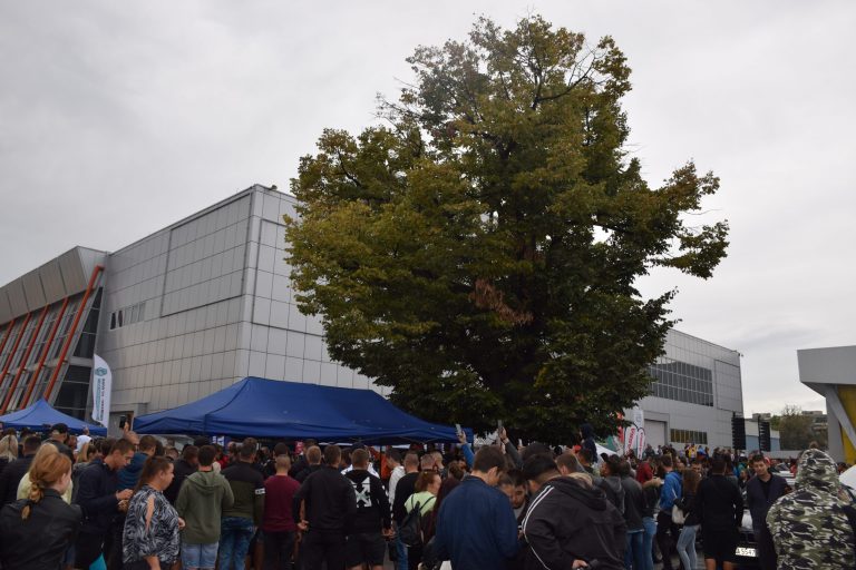Най-опасният ден за пътуване в България е петък, а най-безопасният - неделя