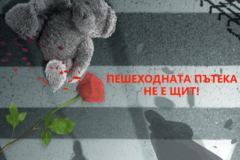 автор Пламен Василев 18 г.